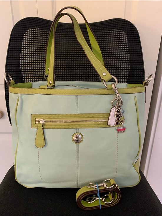 Coach Handbags - Sale 💕2010 Coach Laura Leather Carryall, in "Seafoam and Lime"